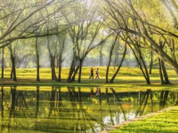 感谢师恩！沪上这种生态公园老师节期内邀教师免费参观进园